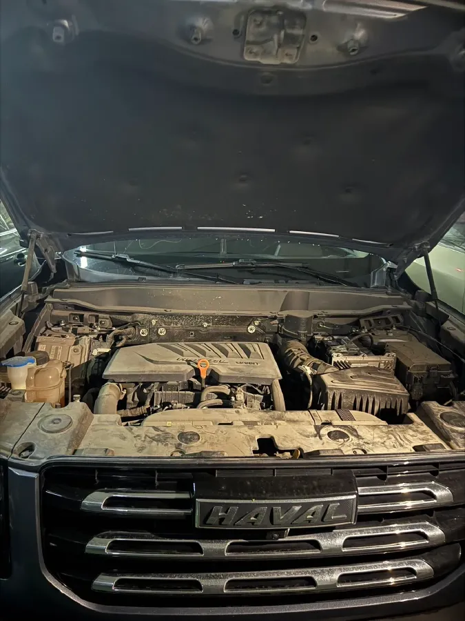 2021 Haval Dargo 1.5T 169HP L4 7DCT,autocango,china used car exporter,china ev exporter,chinese used car exporter,chinese used ev exporter