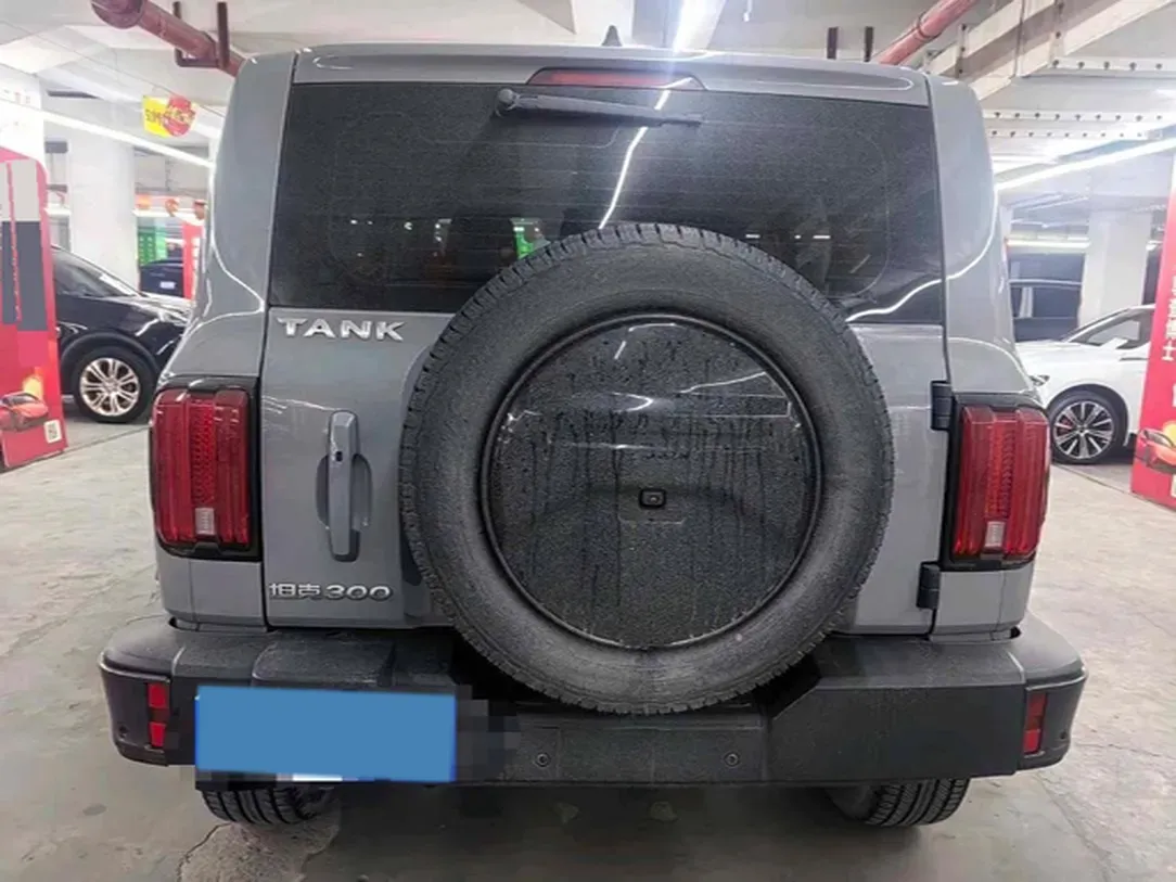 2023 Tank 300 2.0T 227HP L4 8AT,autocango,china used car exporter,china ev exporter,chinese used car exporter,chinese used ev exporter