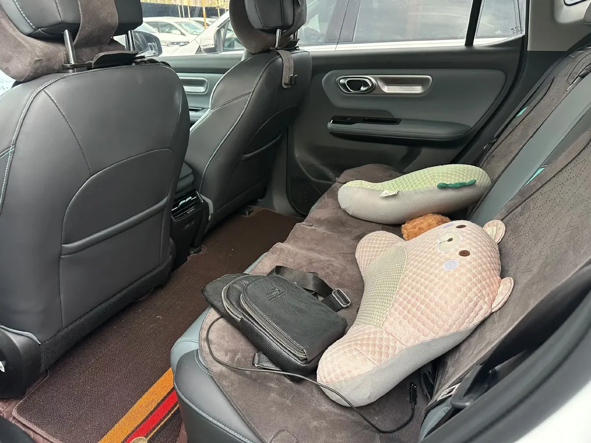 2024 Leapmotor C11 1.5L 95HP L4 REEV 43.74KWH,autocango,china used car exporter,china ev exporter,chinese used car exporter,chinese used ev exporter