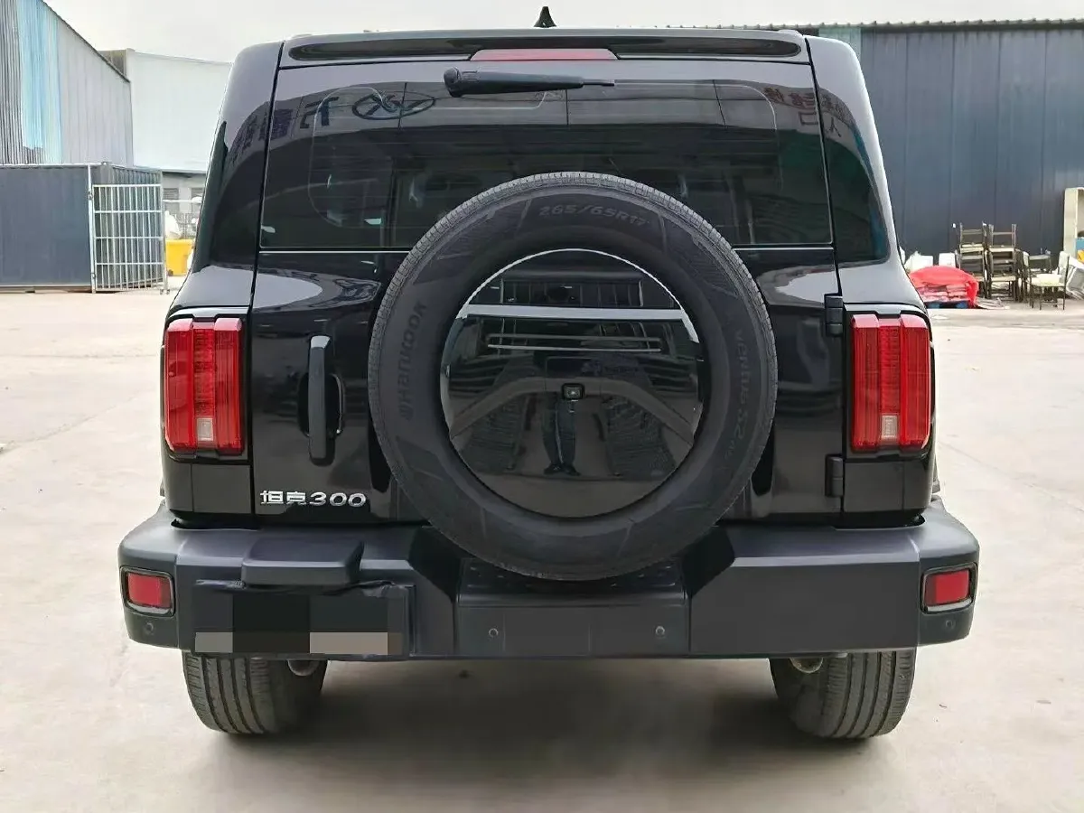 2021 Tank 300 2.0T 227HP L4 8AT,autocango,china used car exporter,china ev exporter,chinese used car exporter,chinese used ev exporter