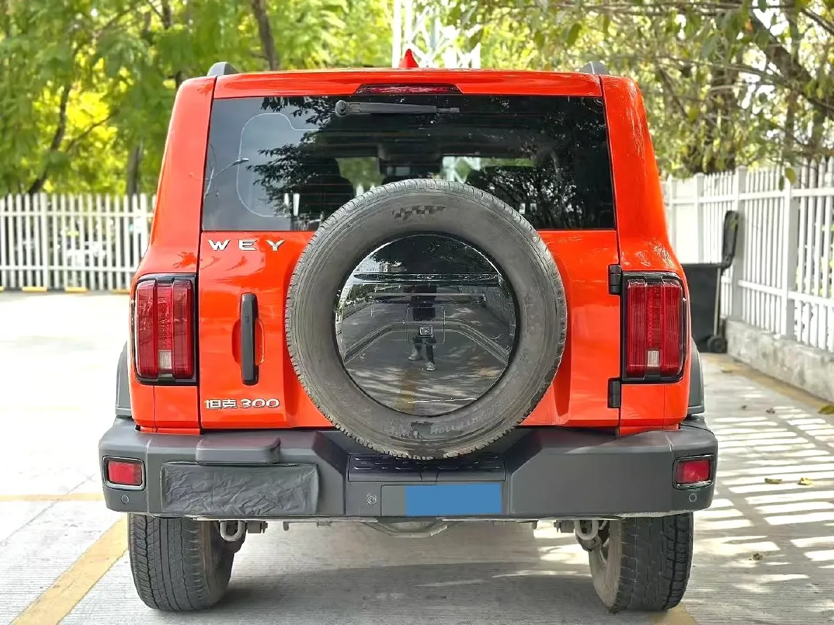 2021 Tank 300 2.0T 227HP L4 8AT,autocango,china used car exporter,china ev exporter,chinese used car exporter,chinese used ev exporter