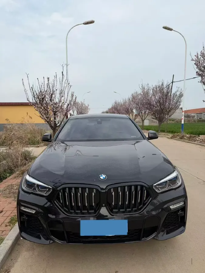 2021 BMW X6 3.0T 340HP L6 8AT,autocango,china used car exporter,china ev exporter,chinese used car exporter,chinese used ev exporter