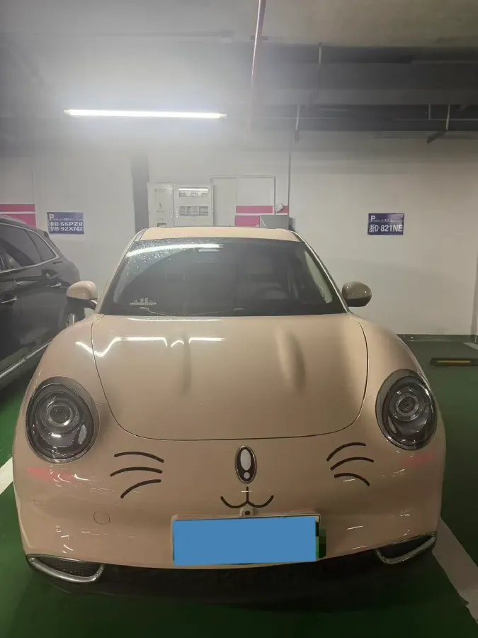 2024 Ora FunkyCat BEV 47.8KWH,autocango,china used car exporter,china ev exporter,chinese used car exporter,chinese used ev exporter