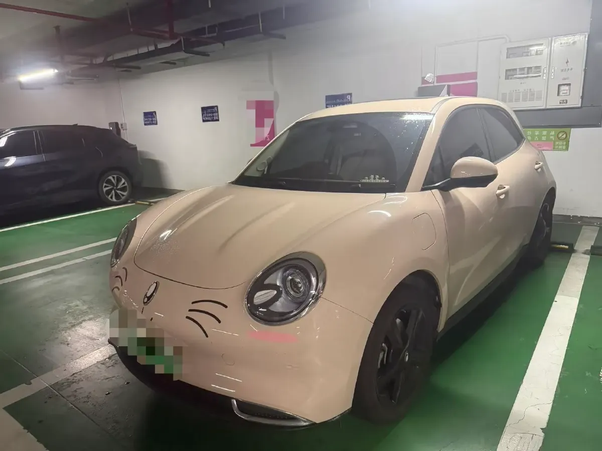 2024 Ora FunkyCat BEV 47.8KWH,autocango,china used car exporter,china ev exporter,chinese used car exporter,chinese used ev exporter