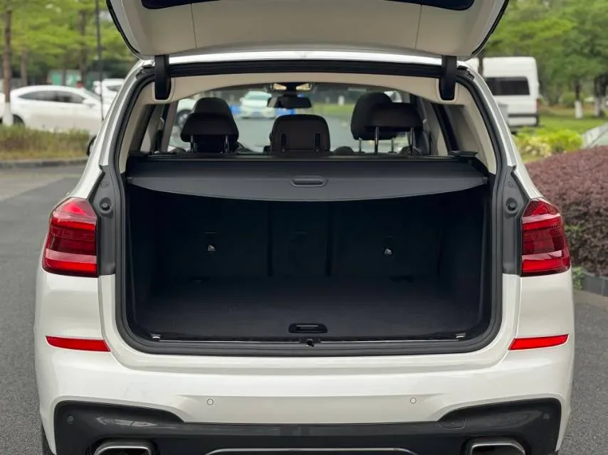 2021 BMW X3 2.0T 224HP L4 8AT,autocango,china used car exporter,china ev exporter,chinese used car exporter,chinese used ev exporter