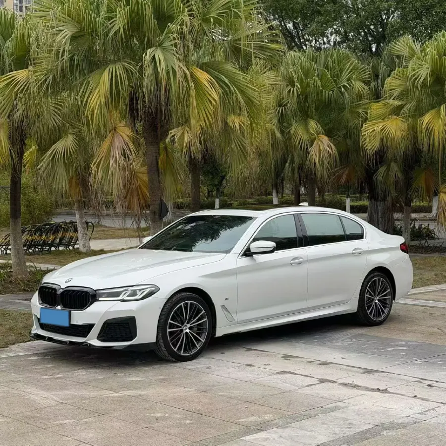 2022 BMW 5 Series 2.0T 252HP L4 8AT,autocango,china used car exporter,china ev exporter,chinese used car exporter,chinese used ev exporter