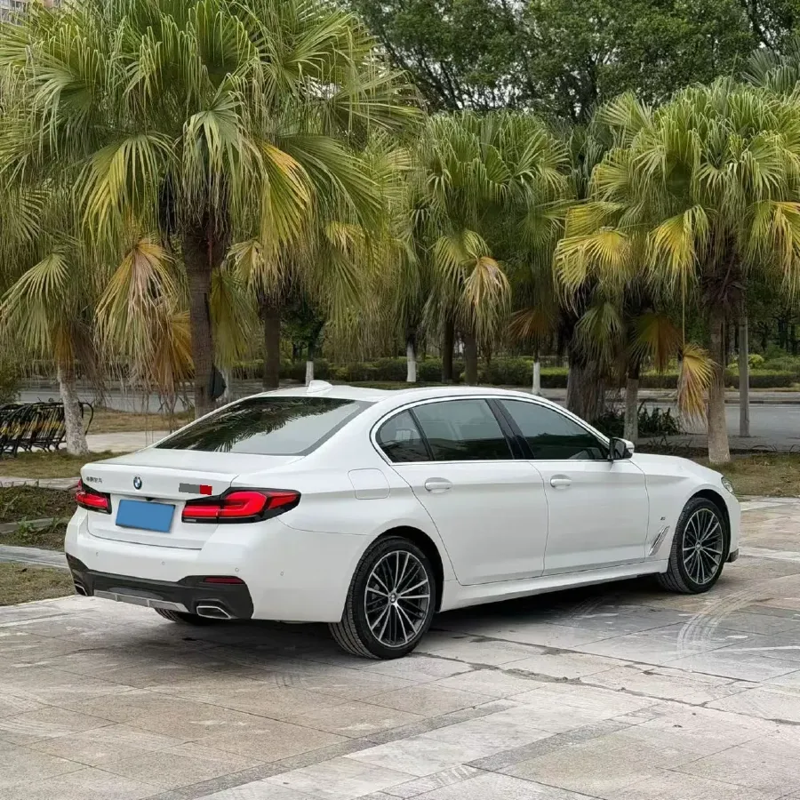 2022 BMW 5 Series 2.0T 252HP L4 8AT,autocango,china used car exporter,china ev exporter,chinese used car exporter,chinese used ev exporter