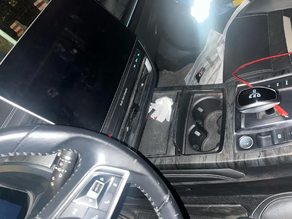 2019 BYD Qin Pro BEV 56.4KWH,autocango,china used car exporter,china ev exporter,chinese used car exporter,chinese used ev exporter