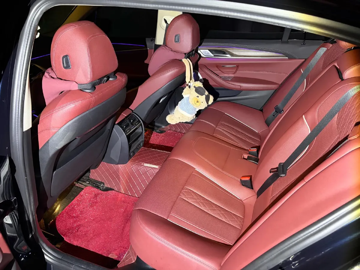 2022 BMW 5 Series 2.0T 252HP L4 8AT,autocango,china used car exporter,china ev exporter,chinese used car exporter,chinese used ev exporter