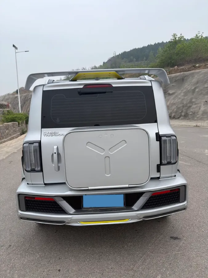2021 Cyberspace 300 2.0T 227HP L4 8AT,autocango,china used car exporter,china ev exporter,chinese used car exporter,chinese used ev exporter