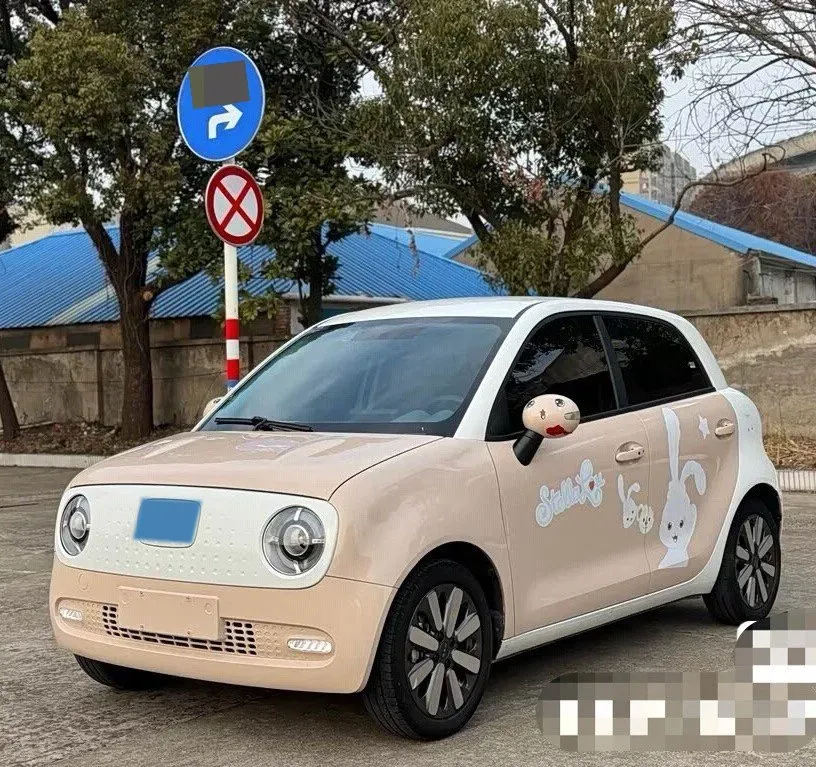 2021 Ora BlackCat BEV 36KWH,autocango,china used car exporter,china ev exporter,chinese used car exporter,chinese used ev exporter