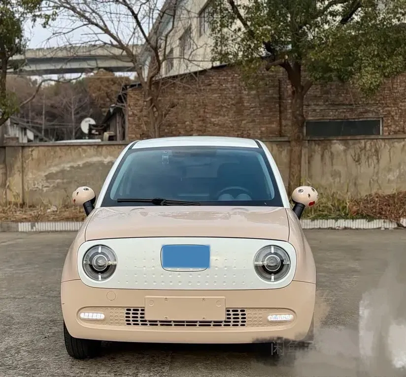 2021 Ora BlackCat BEV 36KWH,autocango,china used car exporter,china ev exporter,chinese used car exporter,chinese used ev exporter