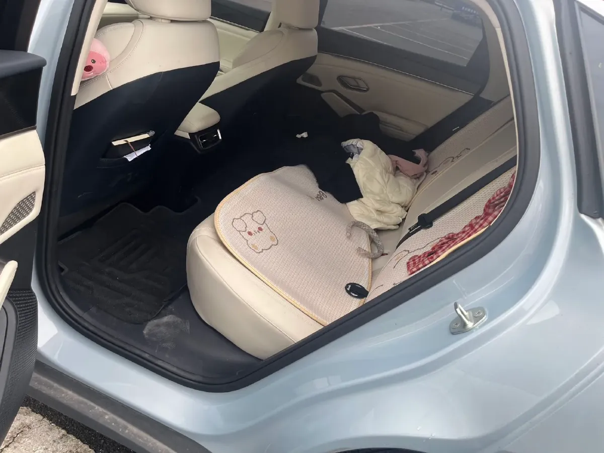 2024 BYD QinL 1.5L 101HP L4 E-CVT PHEV 10.08KWH,autocango,china used car exporter,china ev exporter,chinese used car exporter,chinese used ev exporter