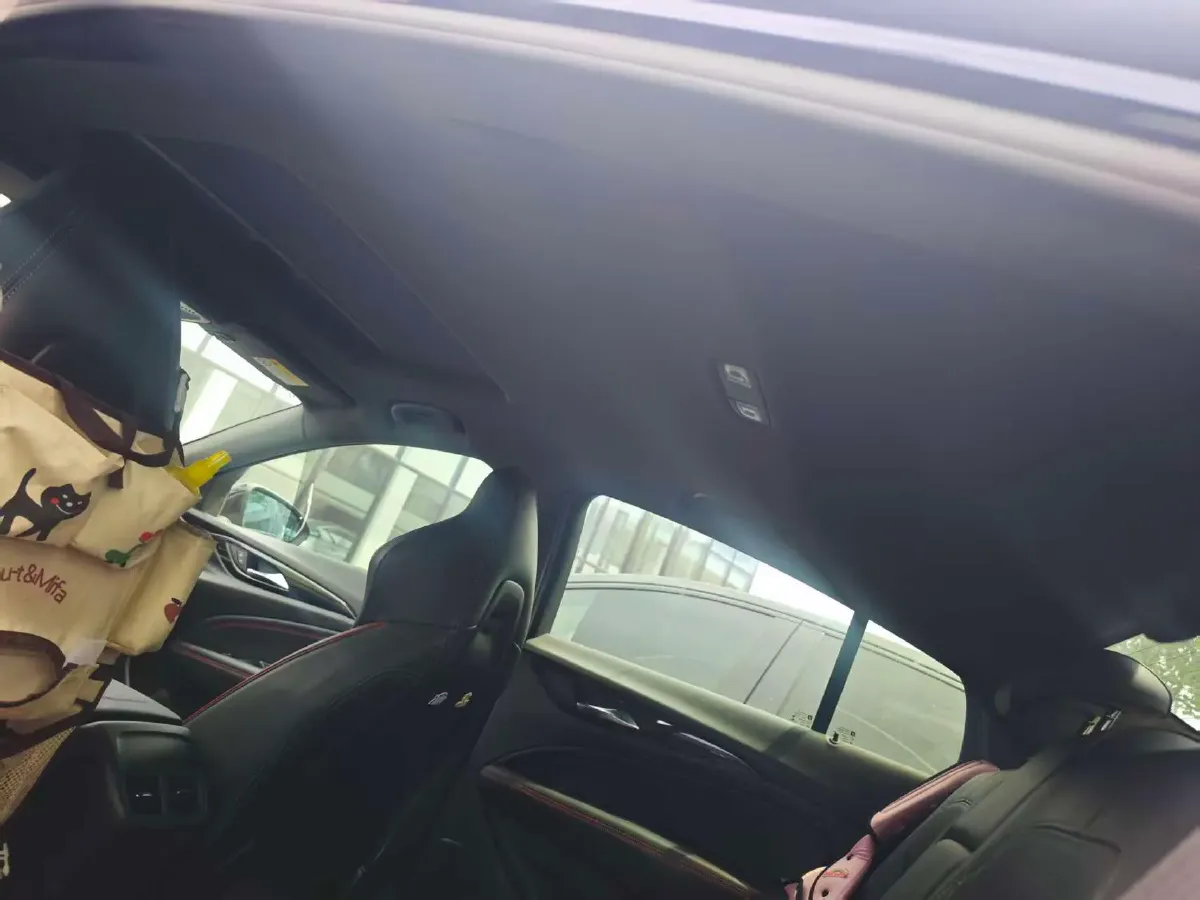 2020 Buick Regal 2.0T 237HP L4 9AT,autocango,china used car exporter,china ev exporter,chinese used car exporter,chinese used ev exporter