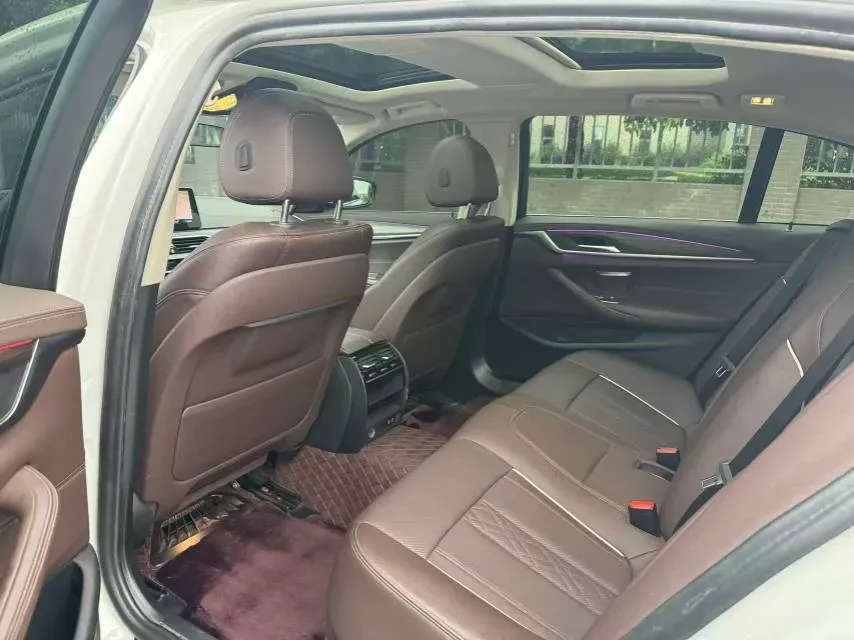 2021 BMW 5 Series 2.0T 252HP L4 8AT,autocango,china used car exporter,china ev exporter,chinese used car exporter,chinese used ev exporter