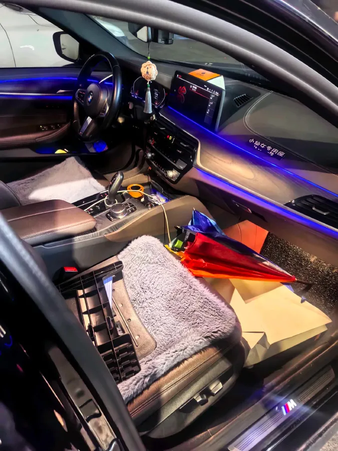 2021 BMW 5 Series 2.0T 252HP L4 8AT,autocango,china used car exporter,china ev exporter,chinese used car exporter,chinese used ev exporter