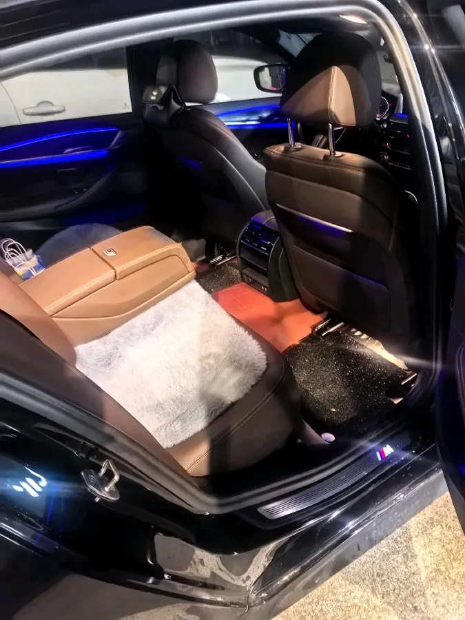 2021 BMW 5 Series 2.0T 252HP L4 8AT,autocango,china used car exporter,china ev exporter,chinese used car exporter,chinese used ev exporter