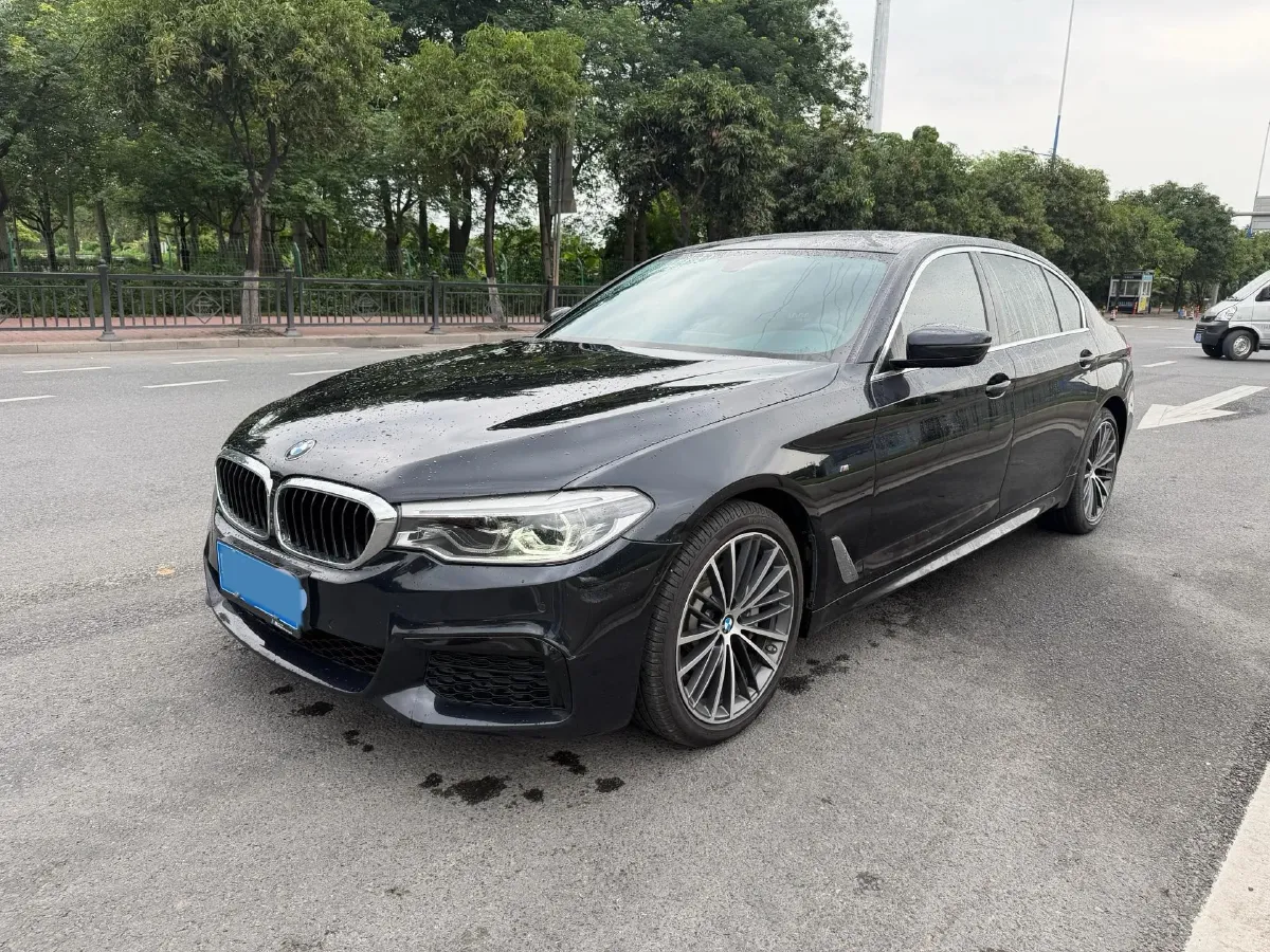 2020 BMW 5 Series 2.0T 252HP L4 8AT,autocango,china used car exporter,china ev exporter,chinese used car exporter,chinese used ev exporter