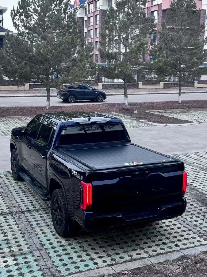 2022 Tank 300 2.0T 227HP L4 8AT,autocango,china used car exporter,china ev exporter,chinese used car exporter,chinese used ev exporter