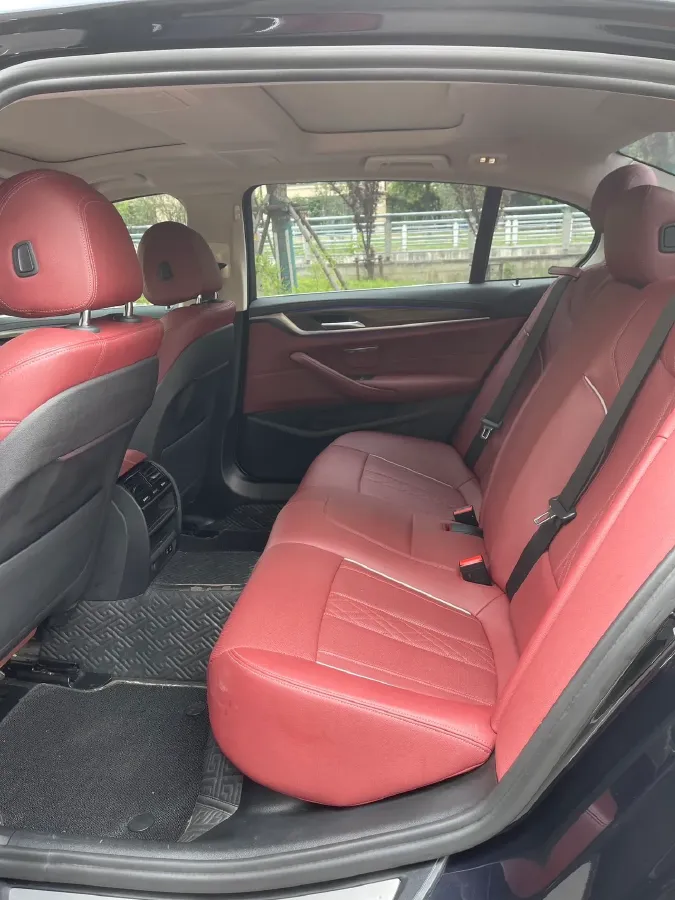 2021 BMW 5 Series 2.0T 252HP L4 8AT,autocango,china used car exporter,china ev exporter,chinese used car exporter,chinese used ev exporter