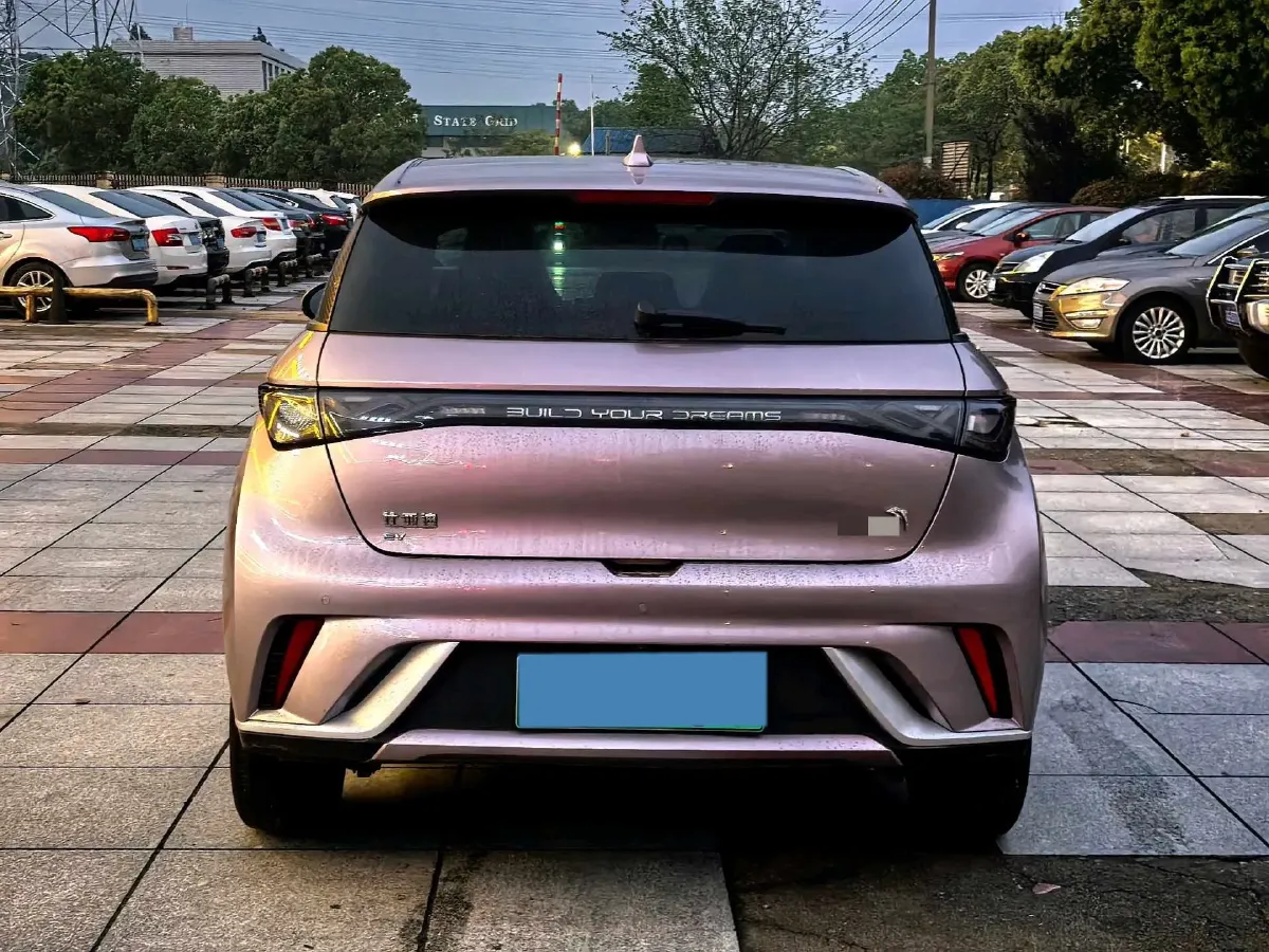 2025 BYD Dolphin BEV 44.928KWH,autocango,china used car exporter,china ev exporter,chinese used car exporter,chinese used ev exporter