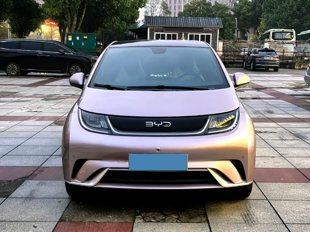 2025 BYD Dolphin BEV 44.928KWH,autocango,china used car exporter,china ev exporter,chinese used car exporter,chinese used ev exporter