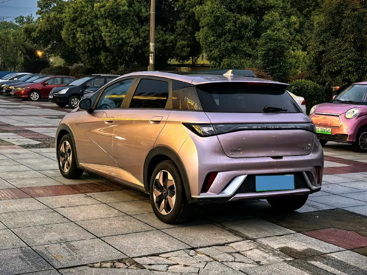 2025 BYD Dolphin BEV 44.928KWH,autocango,china used car exporter,china ev exporter,chinese used car exporter,chinese used ev exporter