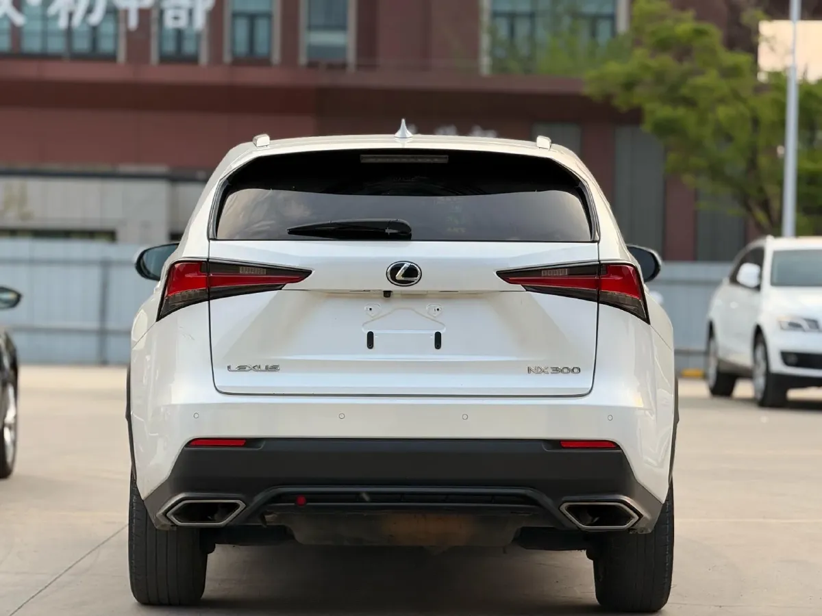 2018 Lexus NX 2.0T 238HP L4 6AT,autocango,china used car exporter,china ev exporter,chinese used car exporter,chinese used ev exporter