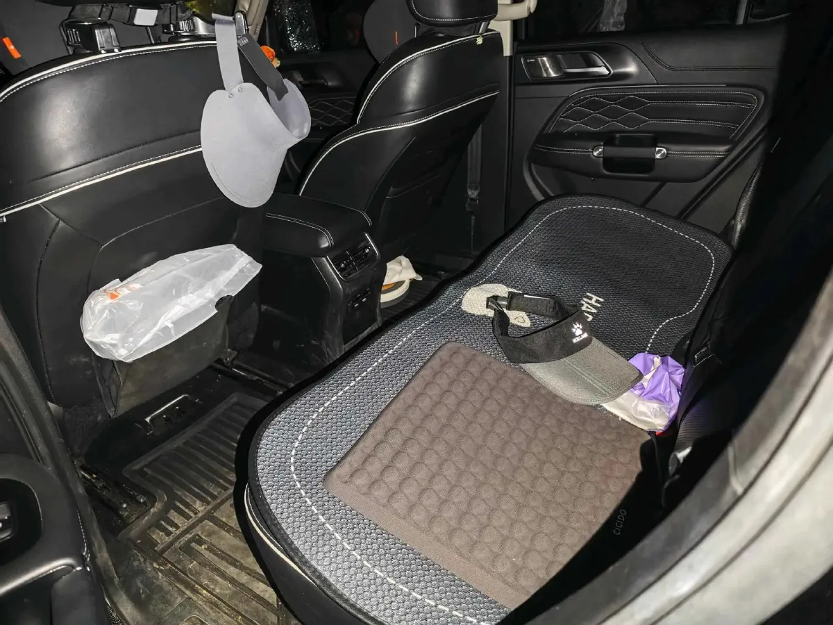 2023 Tank 300 2.0T 227HP L4 8AT,autocango,china used car exporter,china ev exporter,chinese used car exporter,chinese used ev exporter