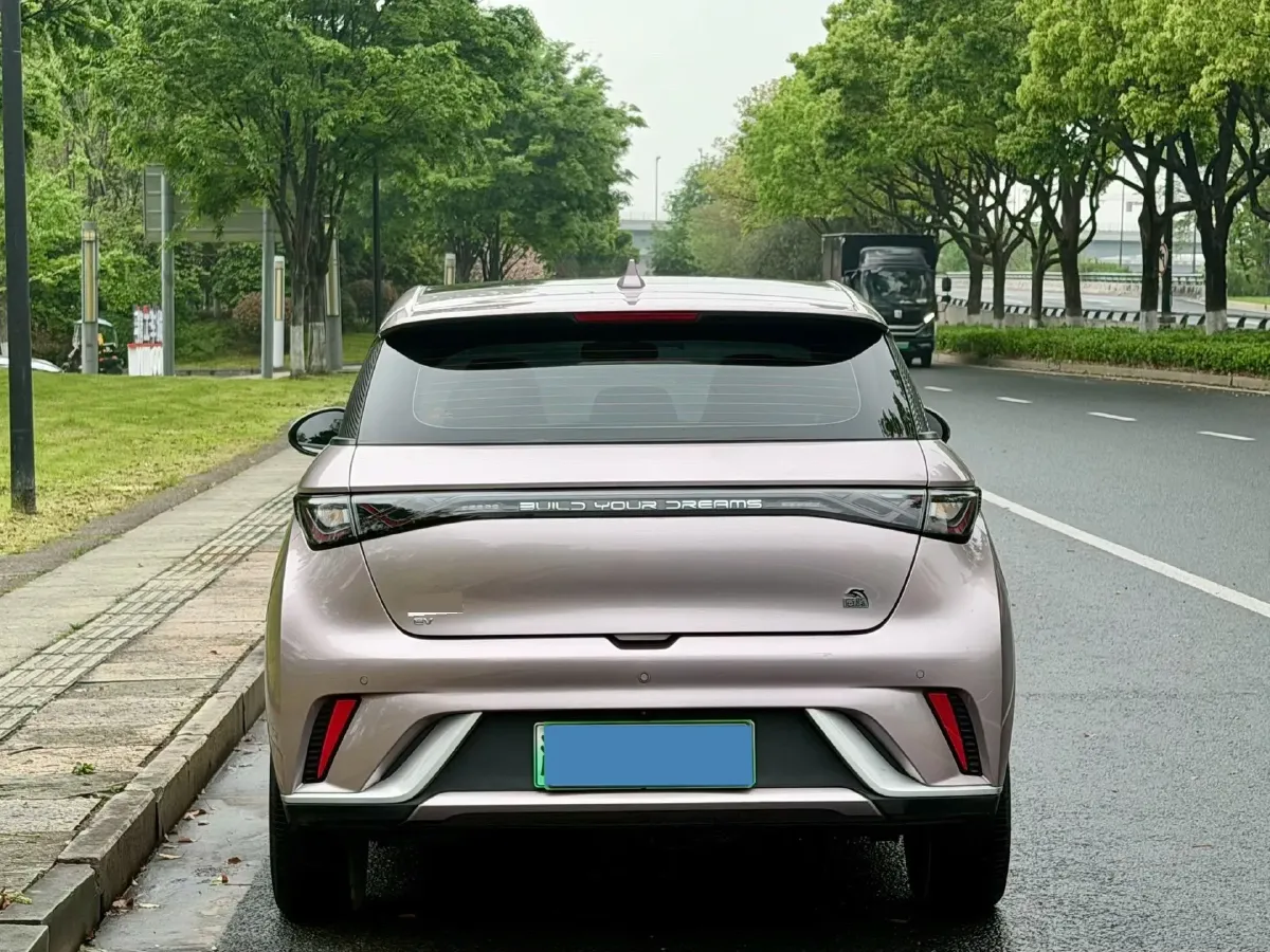 2021 BYD Yuan Pro BEV 50.1KWH,autocango,china used car exporter,china ev exporter,chinese used car exporter,chinese used ev exporter