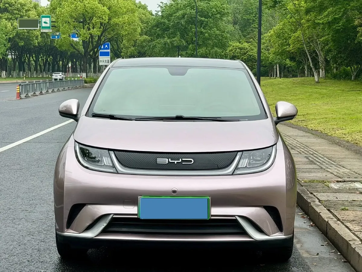 2021 BYD Yuan Pro BEV 50.1KWH,autocango,china used car exporter,china ev exporter,chinese used car exporter,chinese used ev exporter