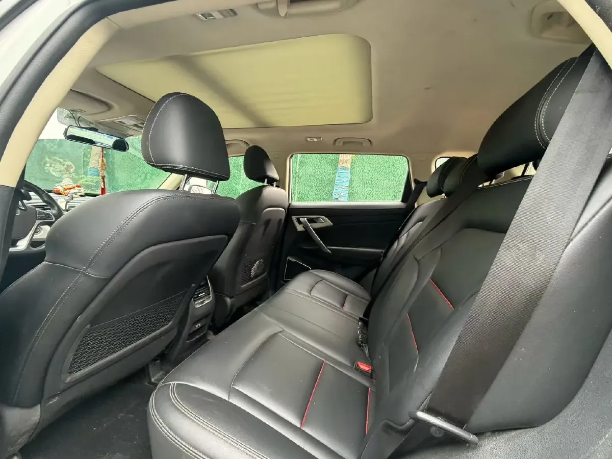 2020 Great Wall Poer 2.0T 163HP L4 8AT,autocango,china used car exporter,china ev exporter,chinese used car exporter,chinese used ev exporter