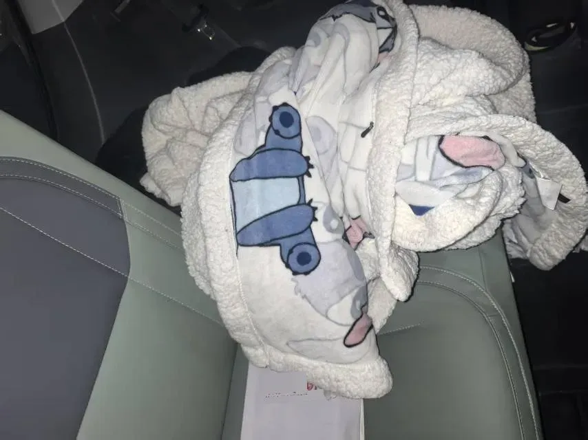 2024 Geely Galaxy Panda BEV 17.03KWH,autocango,china used car exporter,china ev exporter,chinese used car exporter,chinese used ev exporter