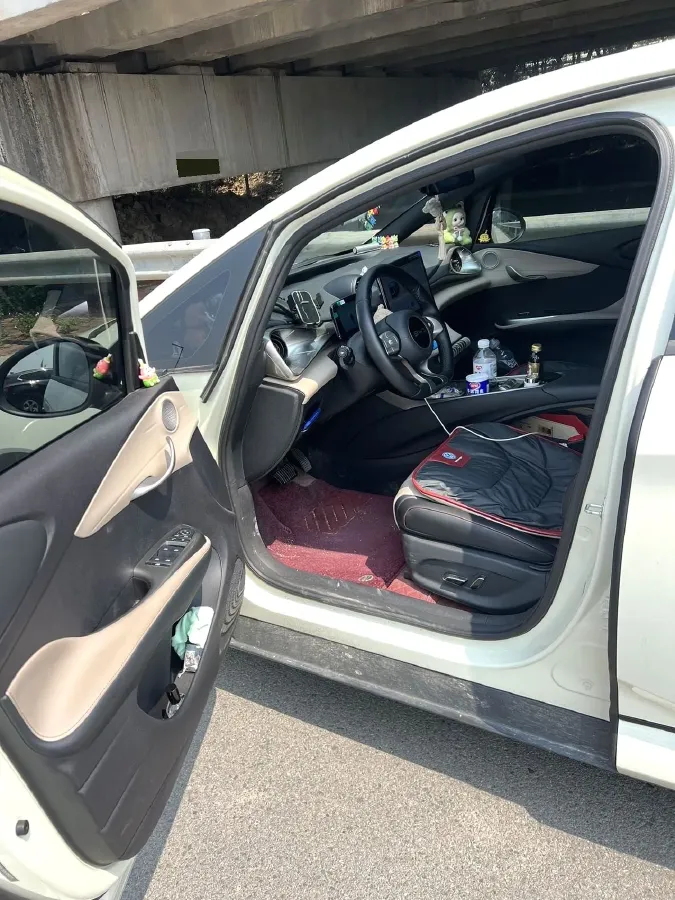 2025 BYD Dolphin BEV 44.928KWH,autocango,china used car exporter,china ev exporter,chinese used car exporter,chinese used ev exporter