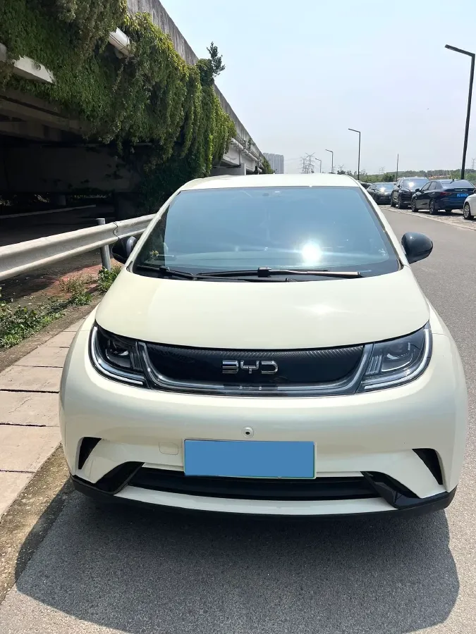 2025 BYD Dolphin BEV 44.928KWH,autocango,china used car exporter,china ev exporter,chinese used car exporter,chinese used ev exporter