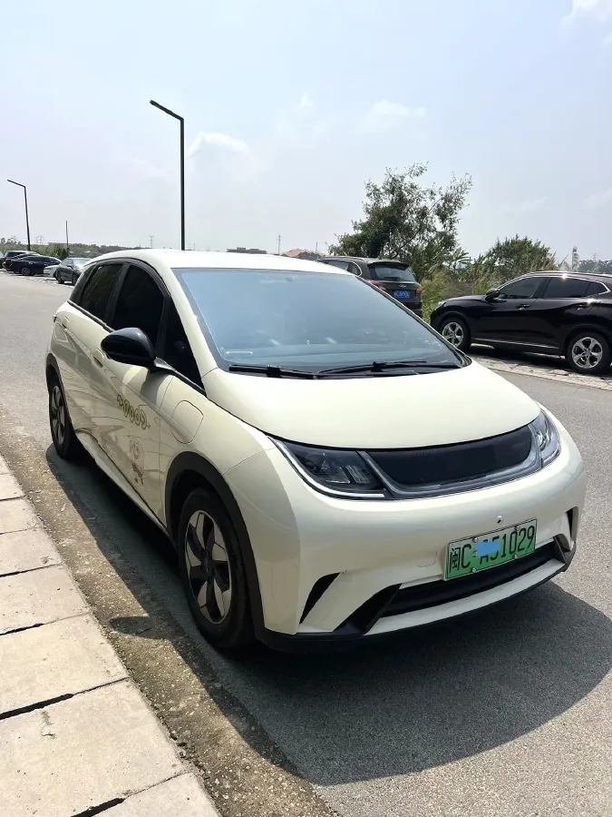 2025 BYD Dolphin BEV 44.928KWH,autocango,china used car exporter,china ev exporter,chinese used car exporter,chinese used ev exporter