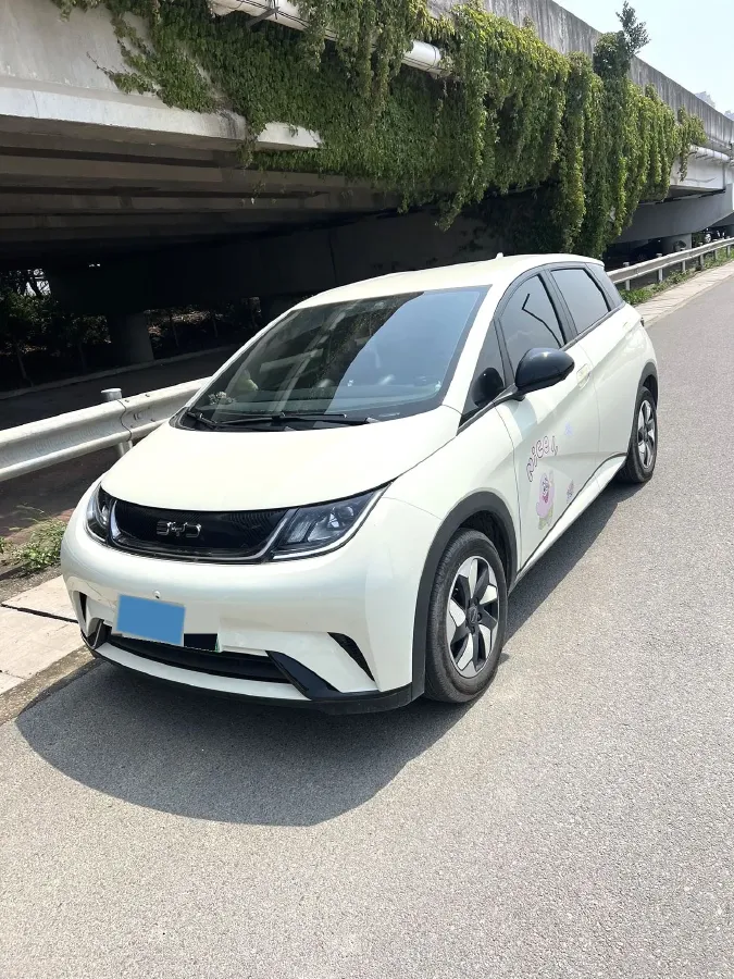 2025 BYD Dolphin BEV 44.928KWH,autocango,china used car exporter,china ev exporter,chinese used car exporter,chinese used ev exporter
