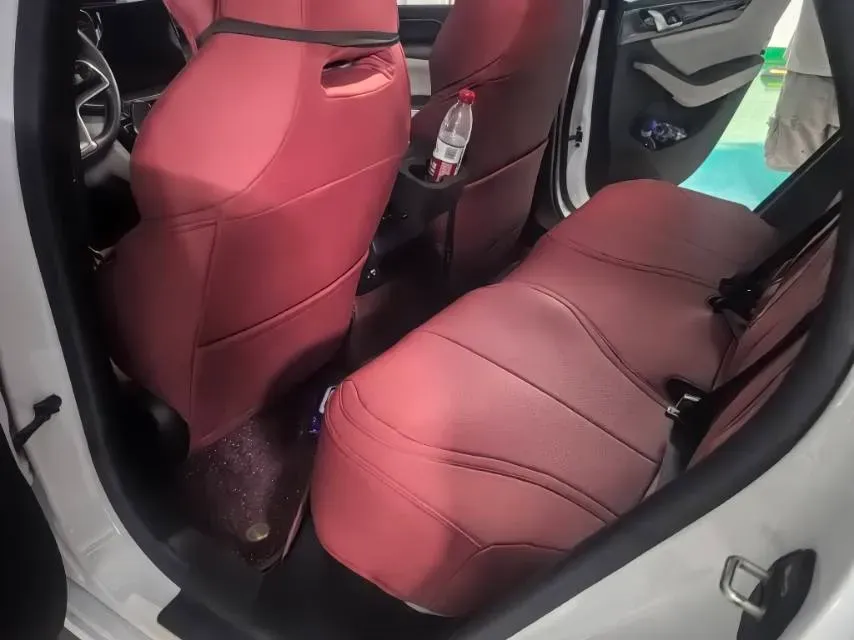 2021 DongFeng FuKang e Elysee BEV 30.7KWH,autocango,china used car exporter,china ev exporter,chinese used car exporter,chinese used ev exporter