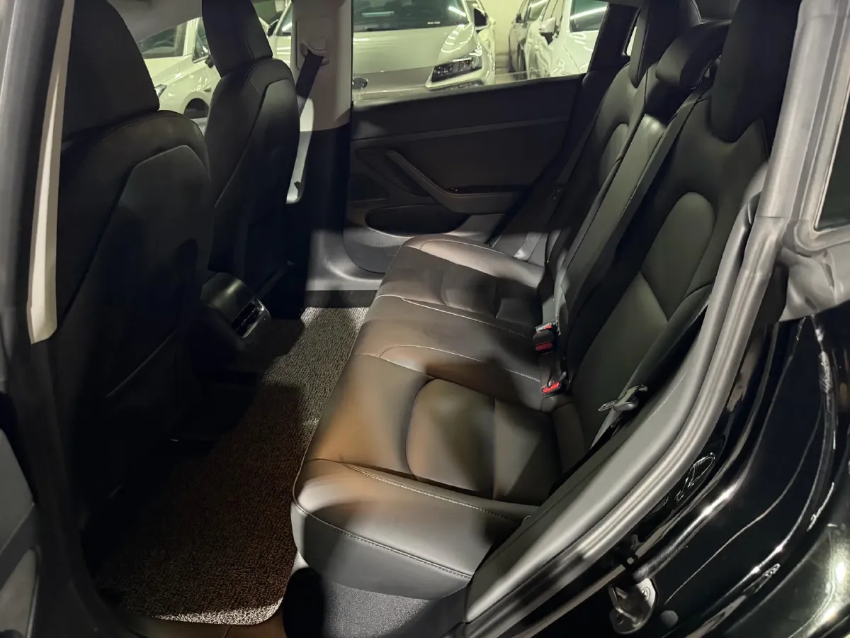 2020 Tesla Model 3 BEV 52KWH,autocango,china used car exporter,china ev exporter,chinese used car exporter,chinese used ev exporter