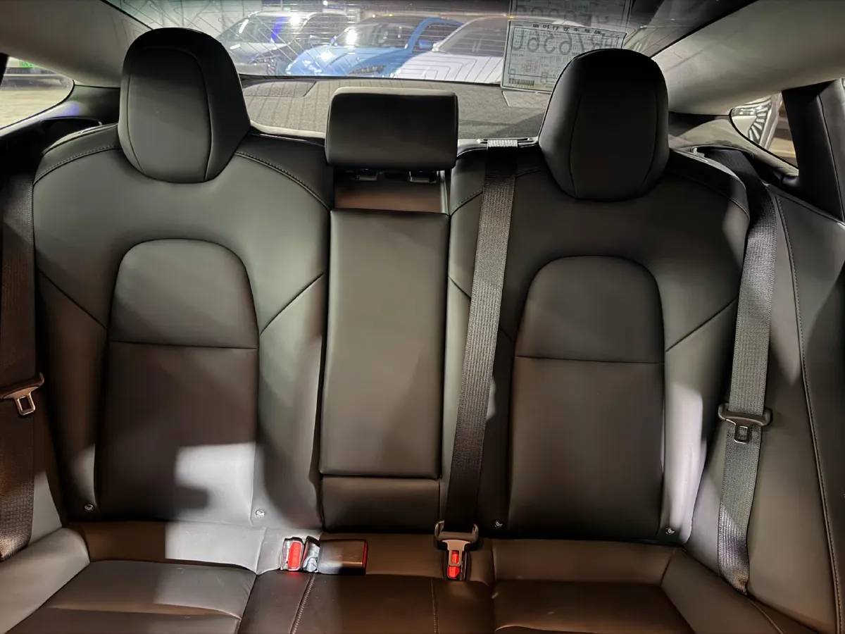 2020 Tesla Model 3 BEV 52KWH,autocango,china used car exporter,china ev exporter,chinese used car exporter,chinese used ev exporter