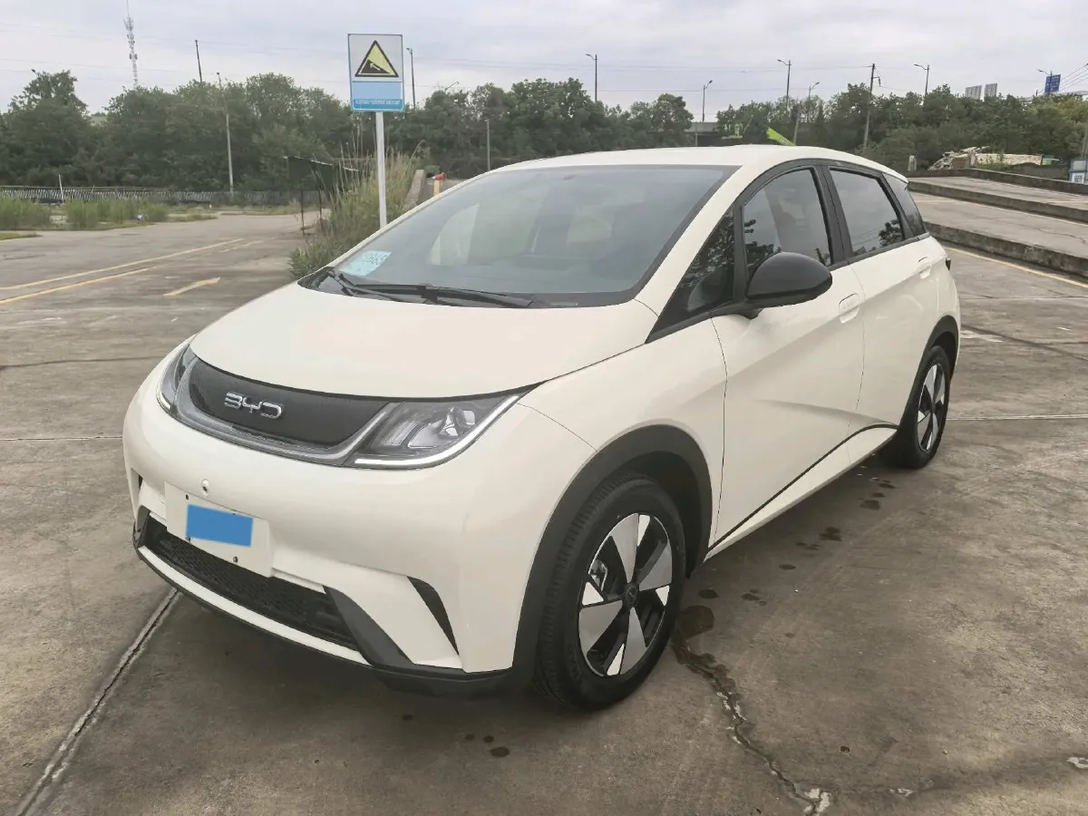 2023 BYD Dolphin BEV 44.928KWH,autocango,china used car exporter,china ev exporter,chinese used car exporter,chinese used ev exporter