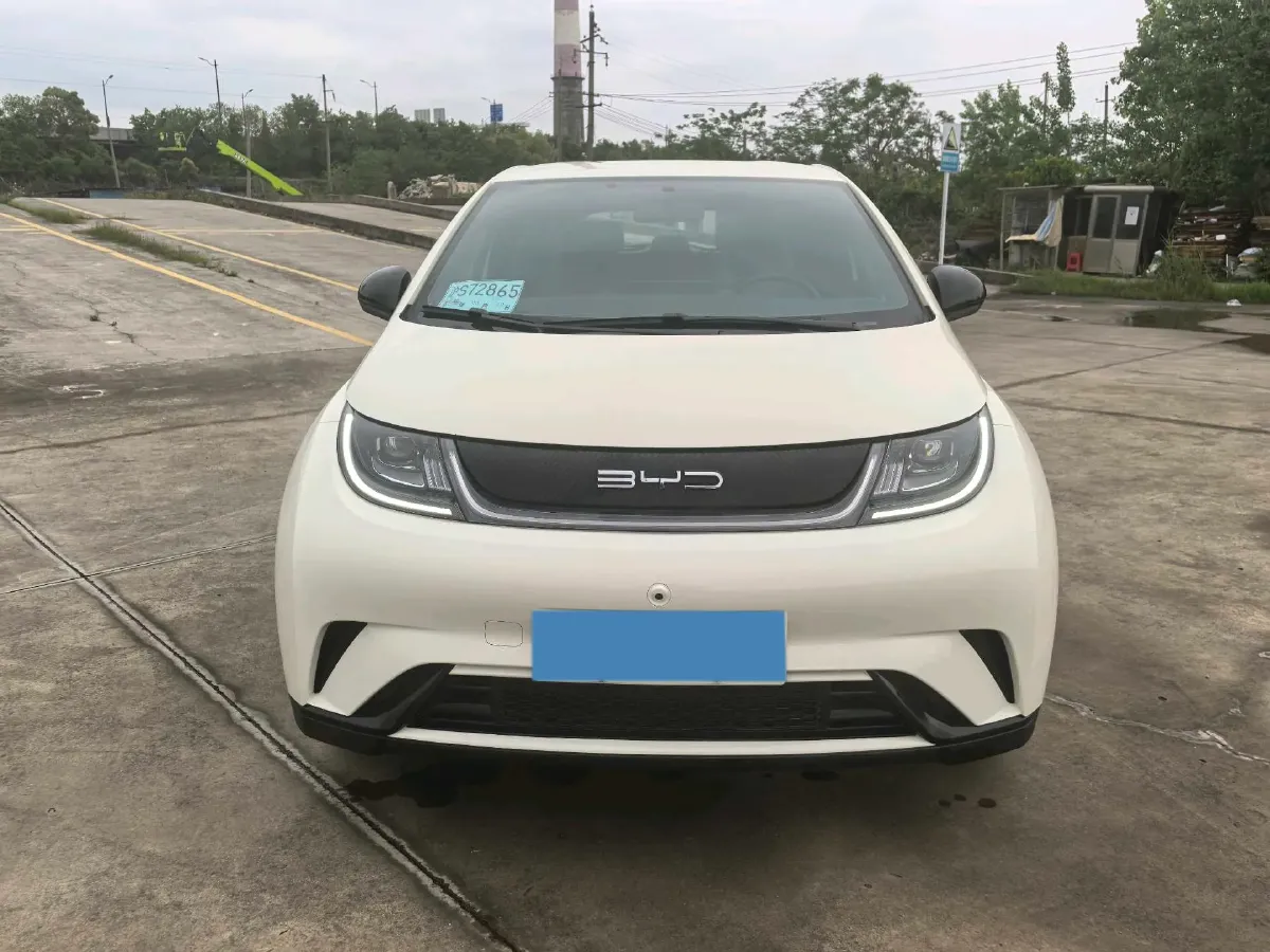 2023 BYD Dolphin BEV 44.928KWH,autocango,china used car exporter,china ev exporter,chinese used car exporter,chinese used ev exporter