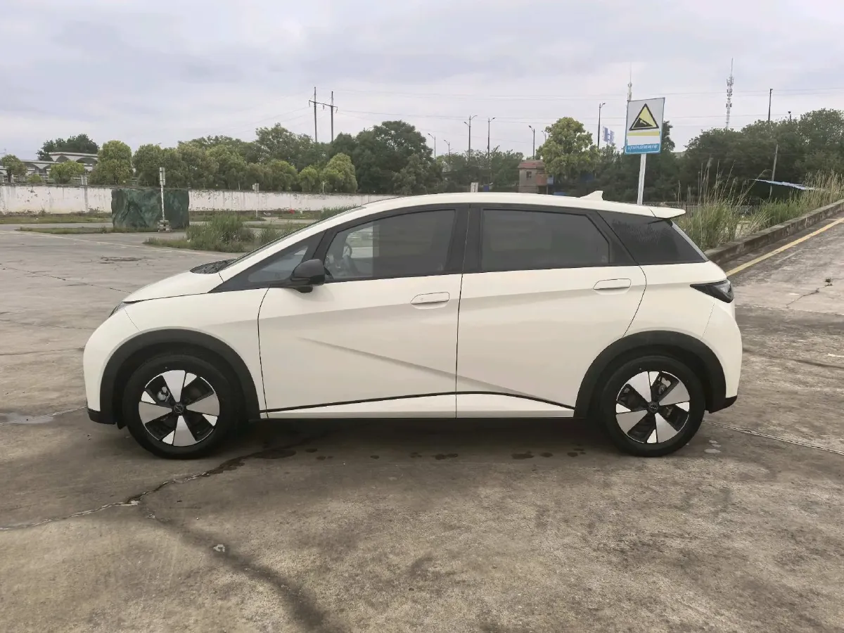 2023 BYD Dolphin BEV 44.928KWH,autocango,china used car exporter,china ev exporter,chinese used car exporter,chinese used ev exporter