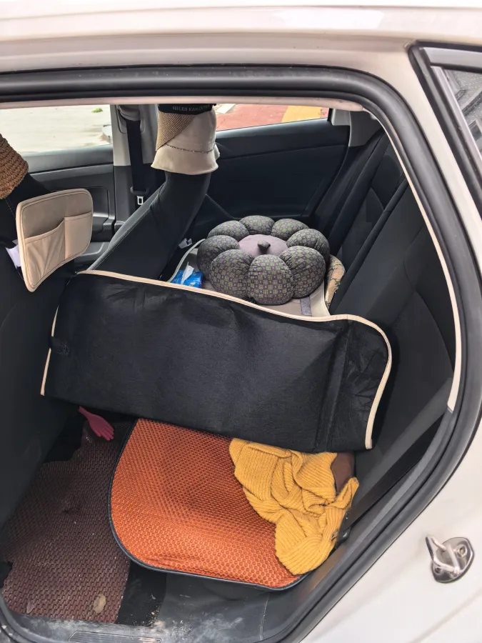 2019 Volkswagen Polo 1.5L 113HP L4 6AT,autocango,china used car exporter,china ev exporter,chinese used car exporter,chinese used ev exporter