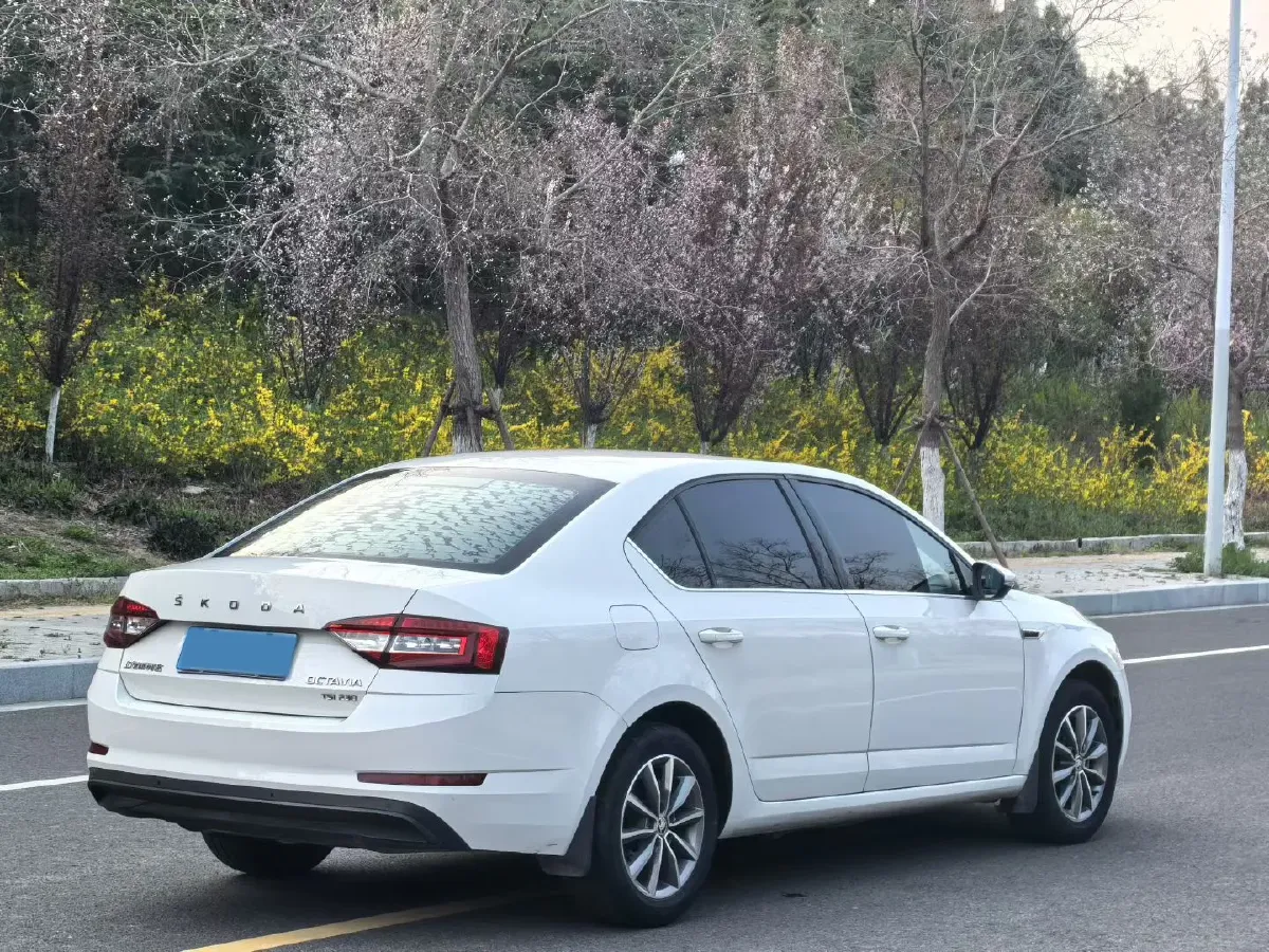 2019 Skoda Octavia 1.2T 116HP L4 7DCT,autocango,china used car exporter,china ev exporter,chinese used car exporter,chinese used ev exporter