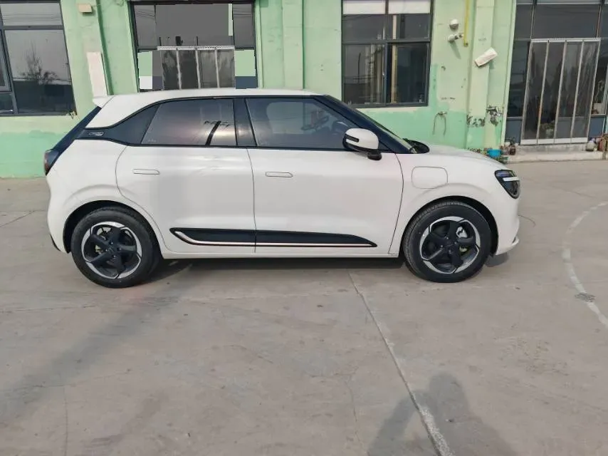 2024 DongFeng Nammi 01 BEV 42.3KWH,autocango,china used car exporter,china ev exporter,chinese used car exporter,chinese used ev exporter