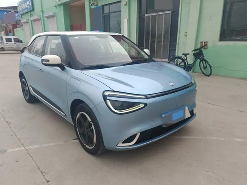 2024 DongFeng Nammi 01 BEV 42.3KWH,autocango,china used car exporter,china ev exporter,chinese used car exporter,chinese used ev exporter