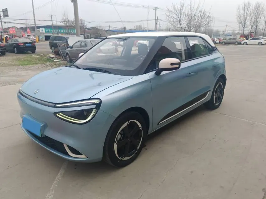 2024 DongFeng Nammi 01 BEV 42.3KWH,autocango,china used car exporter,china ev exporter,chinese used car exporter,chinese used ev exporter