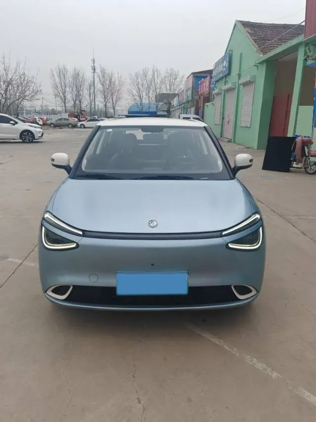 2024 DongFeng Nammi 01 BEV 42.3KWH,autocango,china used car exporter,china ev exporter,chinese used car exporter,chinese used ev exporter