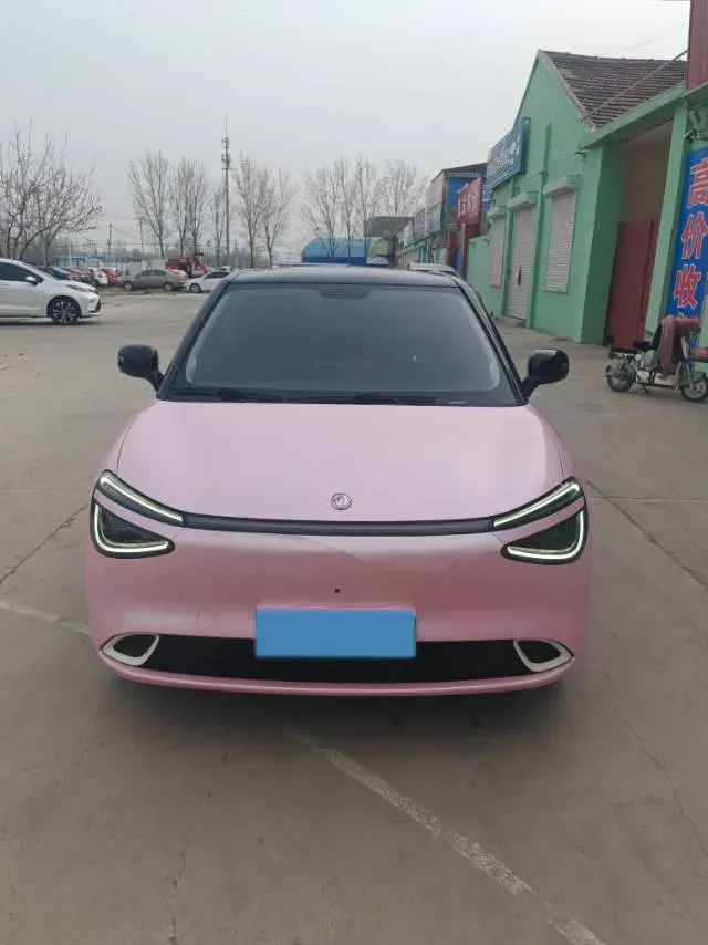 2024 DongFeng Nammi 01 BEV 42.3KWH,autocango,china used car exporter,china ev exporter,chinese used car exporter,chinese used ev exporter
